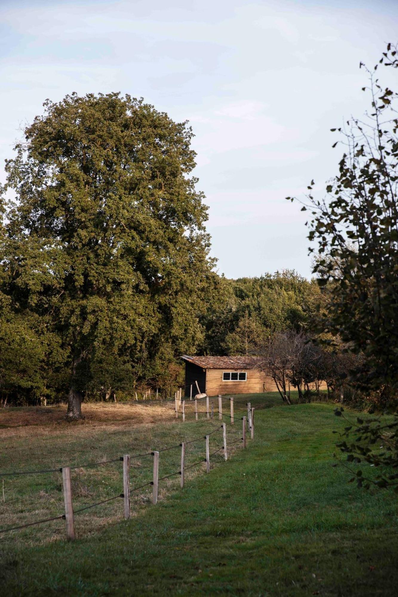 Maison Bellamant Alan Exteriör bild